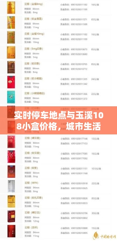 实时停车地点与玉溪108小盒价格,城市生活的细节探索