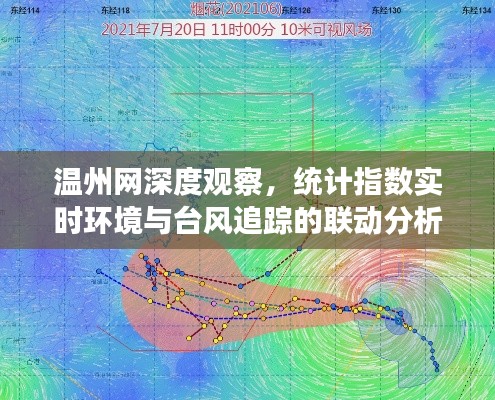 温州网深度观察,统计指数实时环境与台风追踪的联动分析