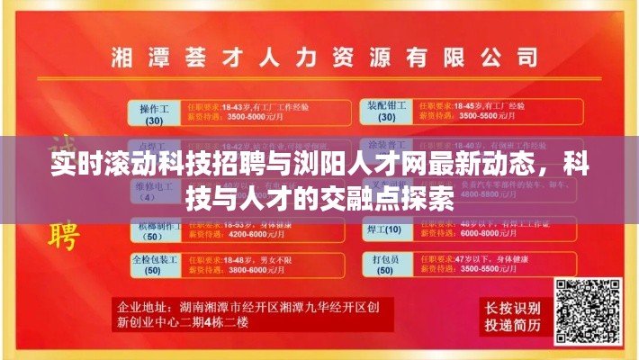 实时滚动科技招聘与浏阳人才网最新动态,科技与人才的交融点探索