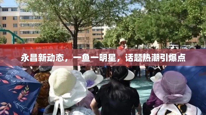 永昌新动态,一鱼一明星,话题热潮引爆点