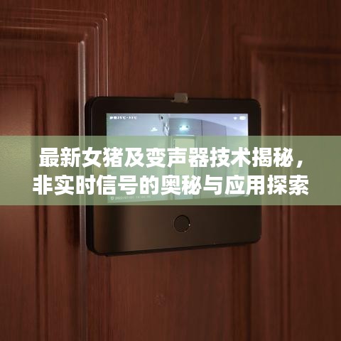最新女猪及变声器技术揭秘,非实时信号的奥秘与应用探索