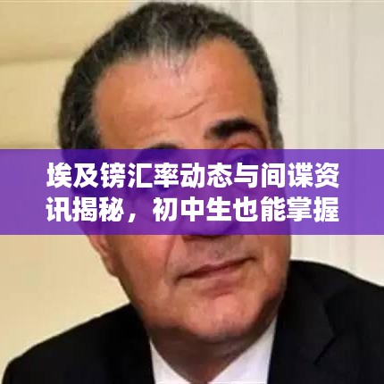 埃及镑汇率动态与间谍资讯揭秘,初中生也能掌握的情报