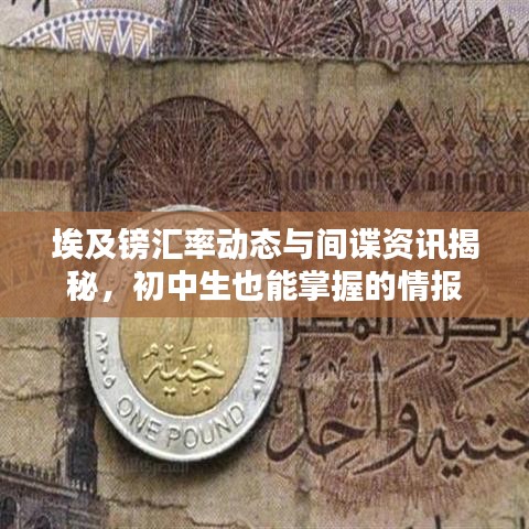 埃及镑汇率动态与间谍资讯揭秘,初中生也能掌握的情报