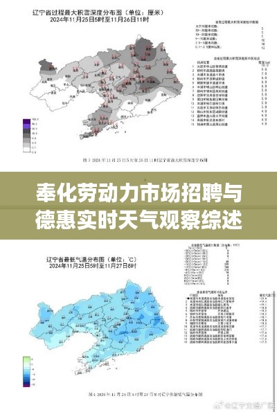 奉化劳动力市场招聘与德惠实时天气观察综述