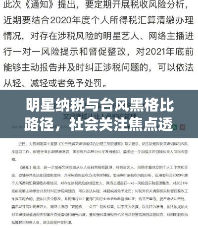 明星纳税与台风黑格比路径,社会关注焦点透视