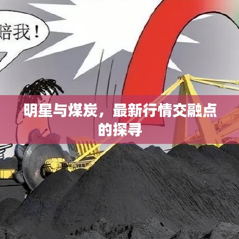 明星与煤炭，最新行情交融点的探寻