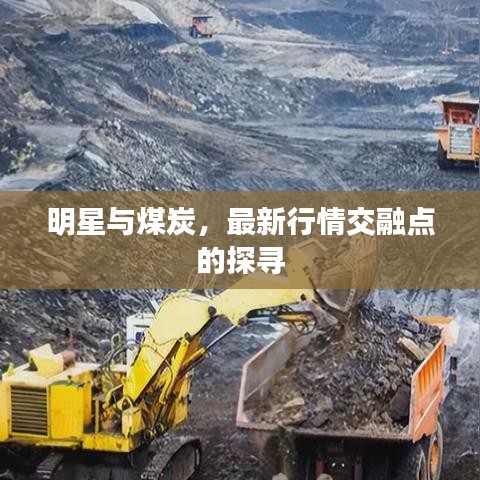 明星与煤炭,最新行情交融点的探寻