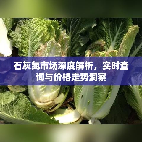 石灰氮市场深度解析，实时查询与价格走势洞察