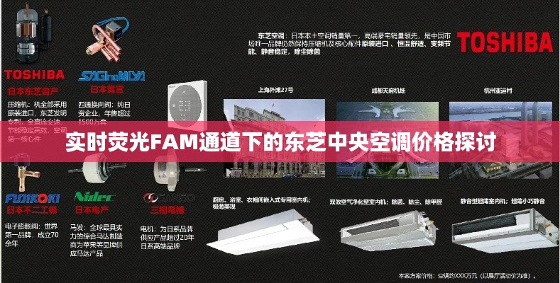 实时荧光FAM通道下的东芝中央空调价格探讨