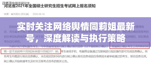 实时关注网络舆情同莉姐最新号，深度解读与执行策略