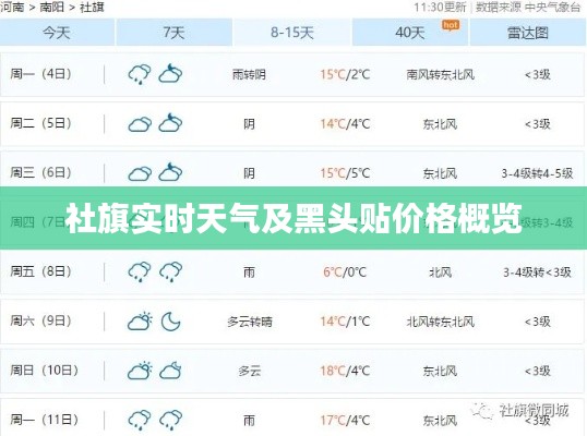 社旗实时天气及黑头贴价格概览