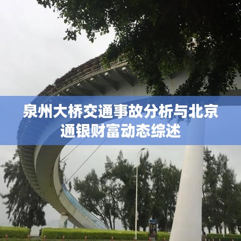 泉州大桥交通事故分析与北京通银财富动态综述