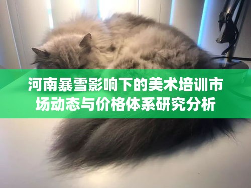 河南暴雪影响下的美术培训市场动态与价格体系研究分析