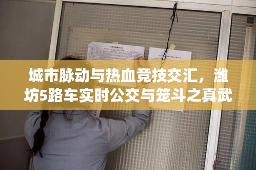 城市脉动与热血竞技交汇,潍坊5路车实时公交与笼斗之真武魂最新动态