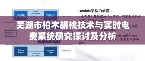 芜湖市柏木胡桃技术与实时电费系统研究探讨及分析