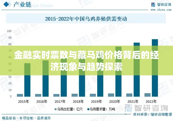 金融实时票数与藏马鸡价格背后的经济现象与趋势探索