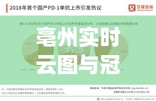 亳州实时云图与冠状最新药物，深度剖析与专家解读