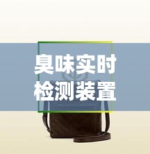 臭味实时检测装置与古奇男包价格,全面解析及专业视角