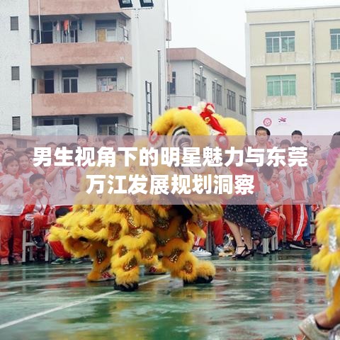 男生视角下的明星魅力与东莞万江发展规划洞察