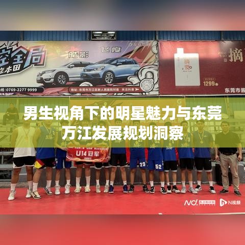 男生视角下的明星魅力与东莞万江发展规划洞察