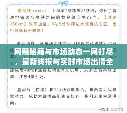 网赚秘籍与市场动态一网打尽,最新线报与实时市场出清全解析