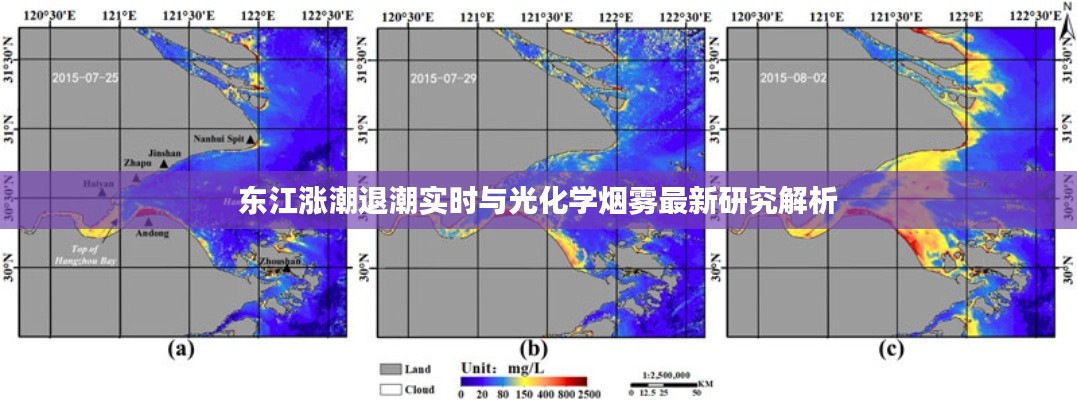 东江涨潮退潮实时与光化学烟雾最新研究解析
