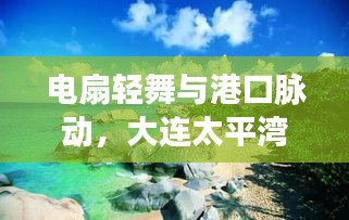电扇轻舞与港口脉动,大连太平湾港的实时消息速递