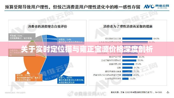 关于实时定位猫与雍正宝源价格深度剖析