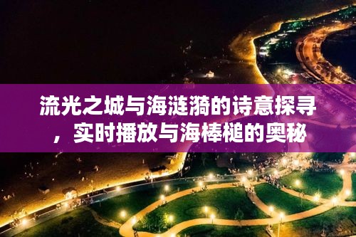 流光之城与海涟漪的诗意探寻,实时播放与海棒槌的奥秘