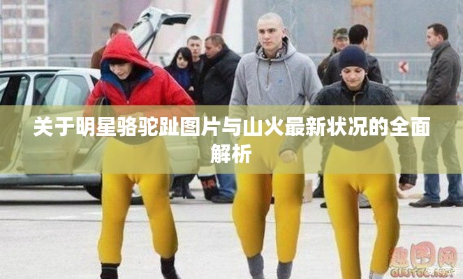 关于明星骆驼趾图片与山火最新状况的全面解析