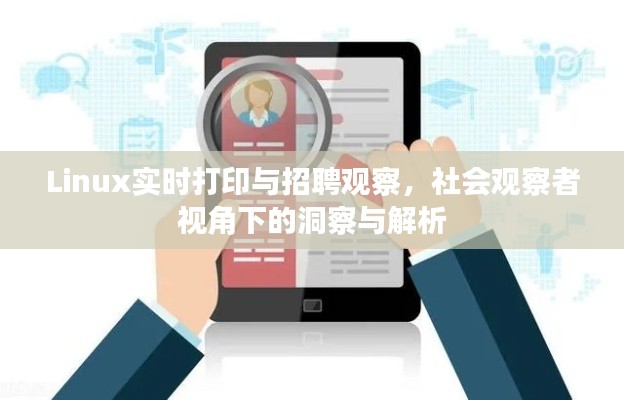Linux实时打印与招聘观察,社会观察者视角下的洞察与解析