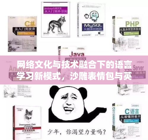 网络文化与技术融合下的语言学习新模式，沙雕表情包与英语实时跟读研究