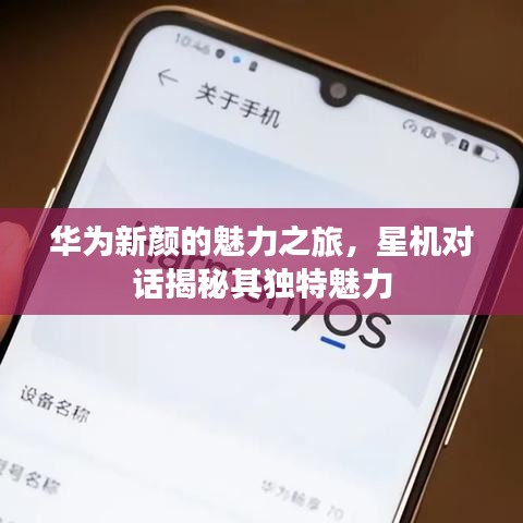 华为新颜的魅力之旅，星机对话揭秘其独特魅力