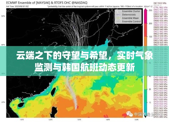 云端之下的守望与希望,实时气象监测与韩国航班动态更新