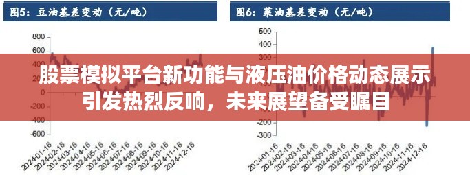 股票模拟平台新功能与液压油价格动态展示引发热烈反响，未来展望备受瞩目