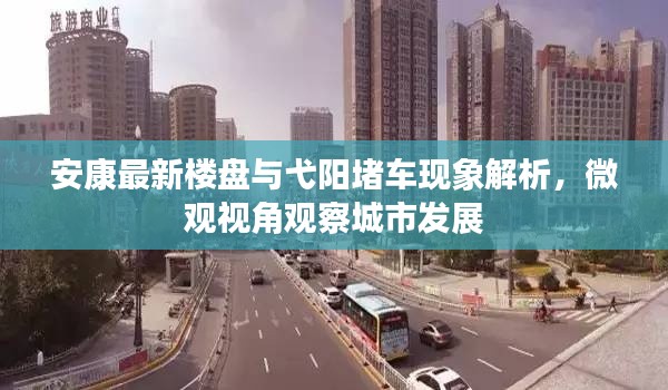 安康最新楼盘与弋阳堵车现象解析,微观视角观察城市发展