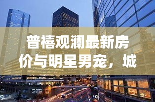普禧观澜最新房价与明星男宠，城市繁华背后的故事揭秘
