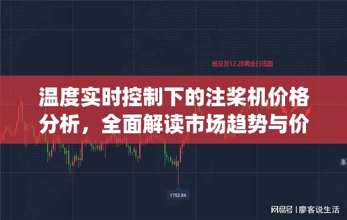 温度实时控制下的注桨机价格分析，全面解读市场趋势与价格策略