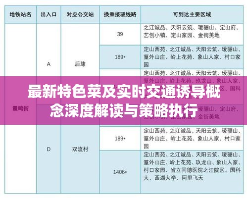 最新特色菜及实时交通诱导概念深度解读与策略执行