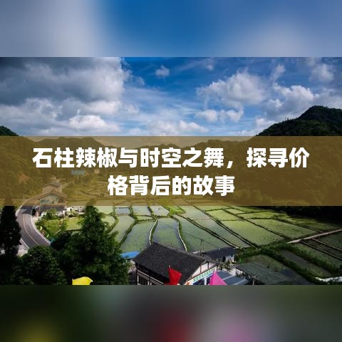 石柱辣椒与时空之舞，探寻价格背后的故事