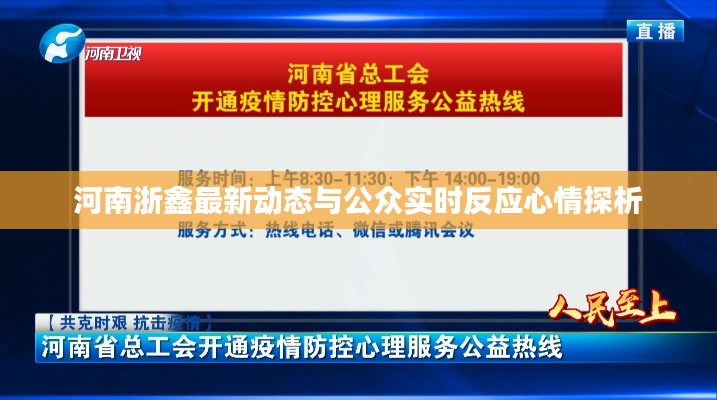 河南浙鑫最新动态与公众实时反应心情探析