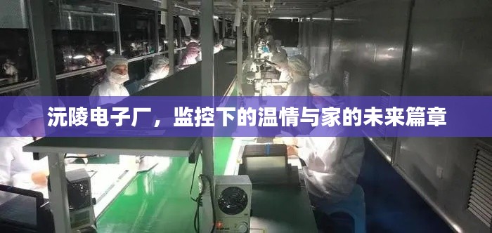 沅陵电子厂,监控下的温情与家的未来篇章