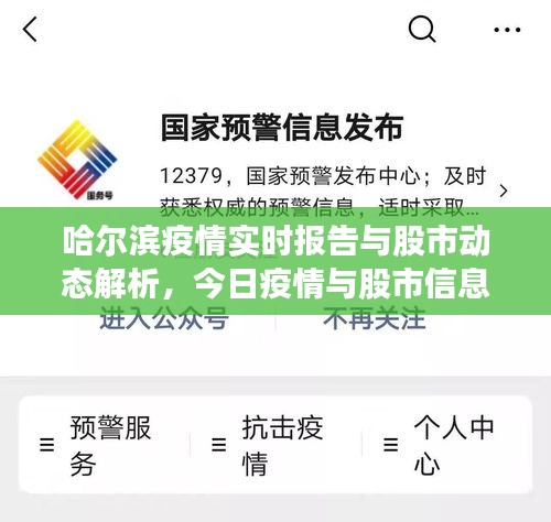 哈尔滨疫情实时报告与股市动态解析,今日疫情与股市信息一览