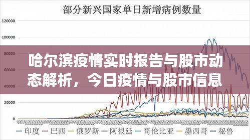 哈尔滨疫情实时报告与股市动态解析,今日疫情与股市信息一览