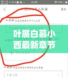 叶展白慕小西最新章节与百度地图实时看路况,释义、实践与警示