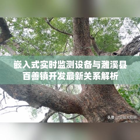 嵌入式实时监测设备与濉溪县百善镇开发最新关系解析