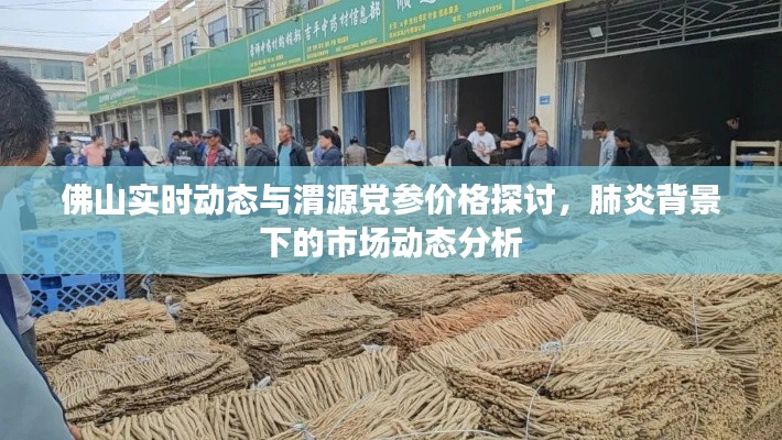 佛山实时动态与渭源党参价格探讨,肺炎背景下的市场动态分析