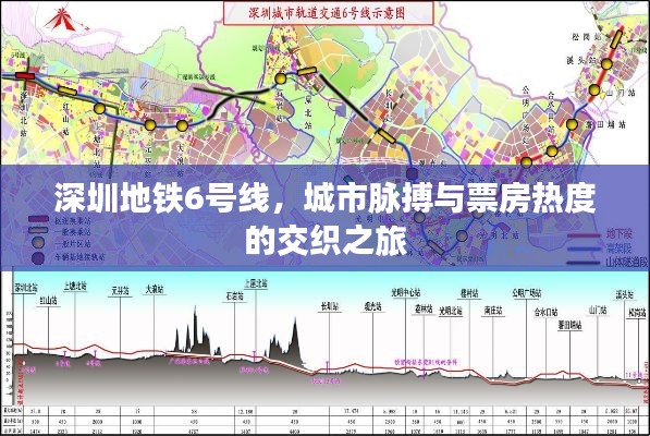 深圳地铁6号线，城市脉搏与票房热度的交织之旅