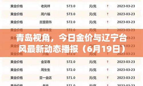 青岛视角,今日金价与辽宁台风最新动态播报(6月19日)