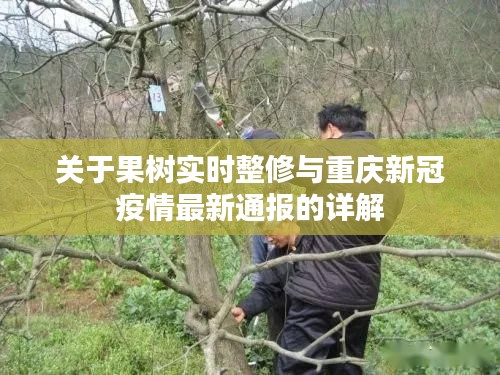 关于果树实时整修与重庆新冠疫情最新通报的详解